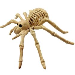 Скелет на паяк