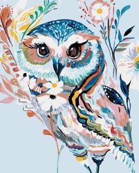 Számokkal történő festés - RAINBOW OWL OJ_CLRSV1-40X-VYP