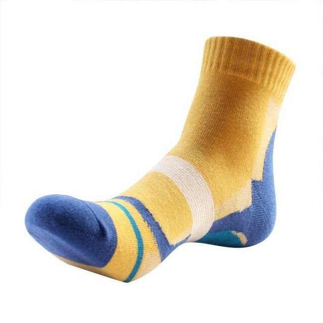 Pánské ponožky PP58 1