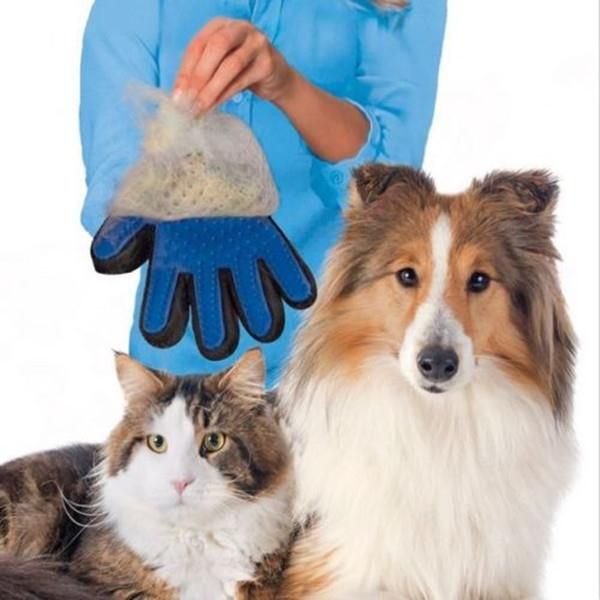 Kedi Kopek Kurk Temizleme Eldiven