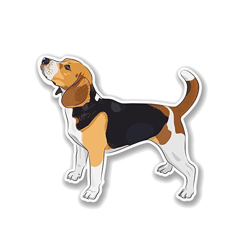 Sticker Pentru Masina Cu Model Caine Beagle Shipgratis Ro