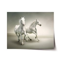 Plakát SABLIO - Dva bílí koně VY_cz5724