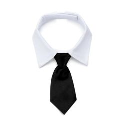 Вратовръзка за кучета HG65