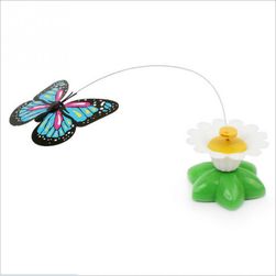 Macska játék - repülő kolibri, pillangó