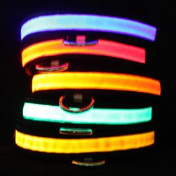 Zgarda luminoasa LED pentru catei
