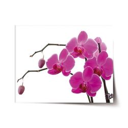 Plakát SABLIO - Fialové orchideje VY_cz5781