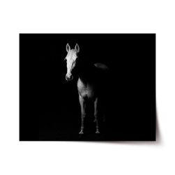 Plakát SABLIO - Kůň ve stínu VY_1452