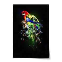 Plakát SABLIO - Barevný papoušek VY_cz5484