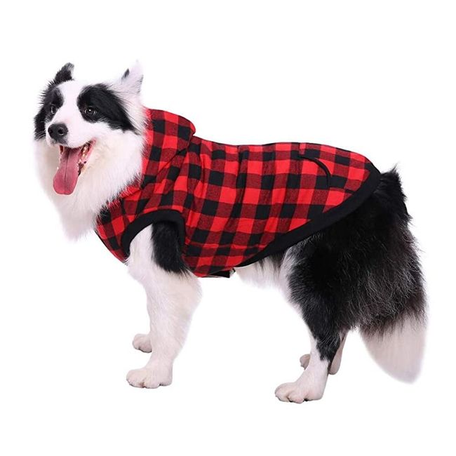 Kopek Ceketi Paw03