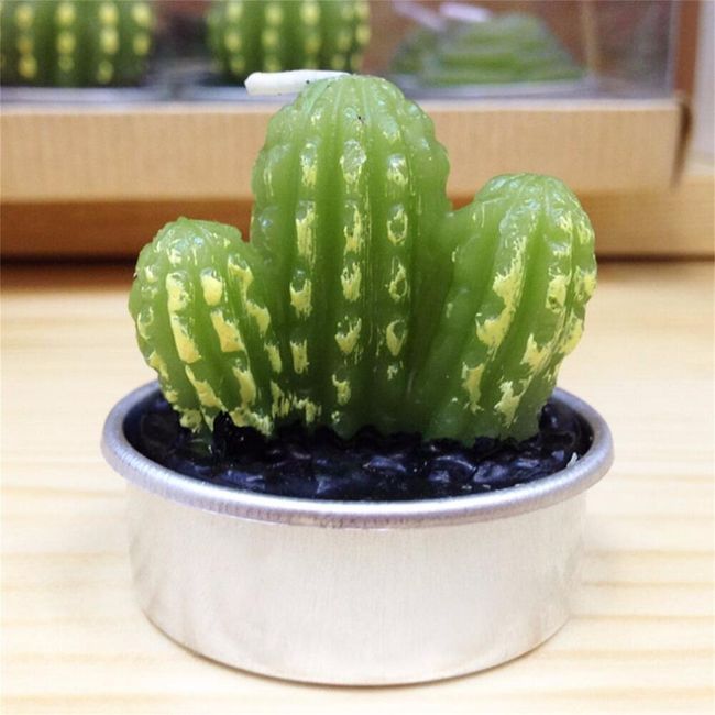 Svíčka ve tvaru kaktusu - 2 tvary 1