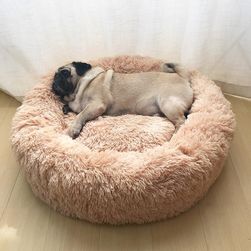 Accesorii Pentru Caini Animale De Companie Shipgratis Ro