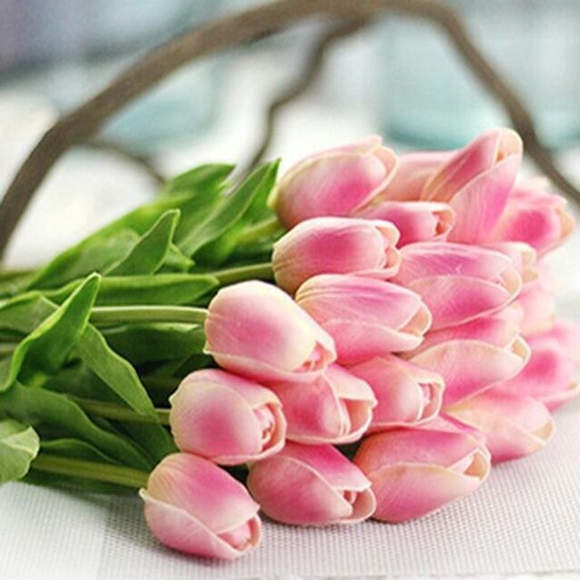 tulipán pénisz)