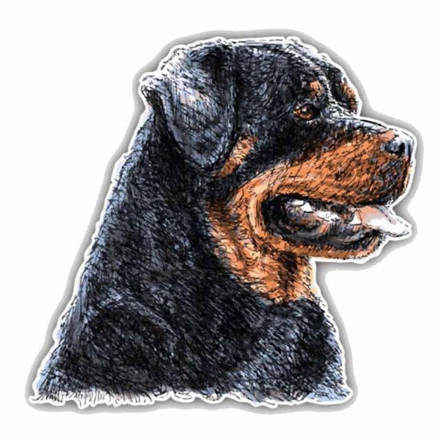Araba Cikartmasi Rottweiler Kopek