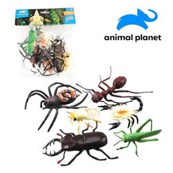 Zvířáka hmyz UM_207518