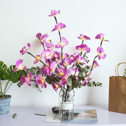 Svítící větvičky orchideje PD_1537341