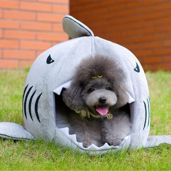 Egy kis kutyaház cápa formájában 1