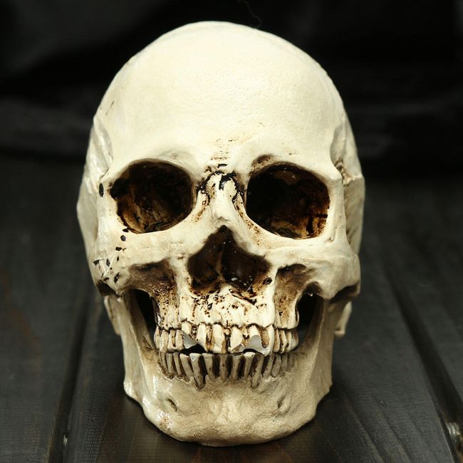 Decorațiuni de Halloween - craniu 1