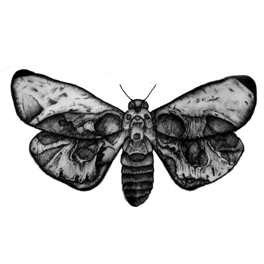 Tatuaj Temporar Fluture Cap De Mort Shipgratis Ro