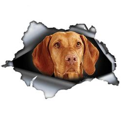 Autocolant pentru mașină Vizsla