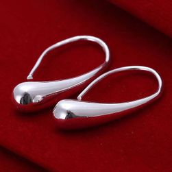 Earrings with shiny surface - silver AT_SKU119079