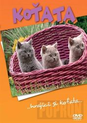 Rôzni - Mačiatka, DVD PD_1000812