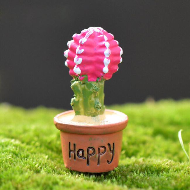 Miniatűr dekoratív kaktuszok 1