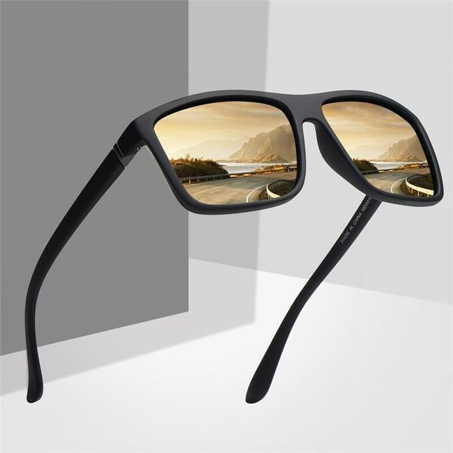 Pánské sluneční brýle SG256 1