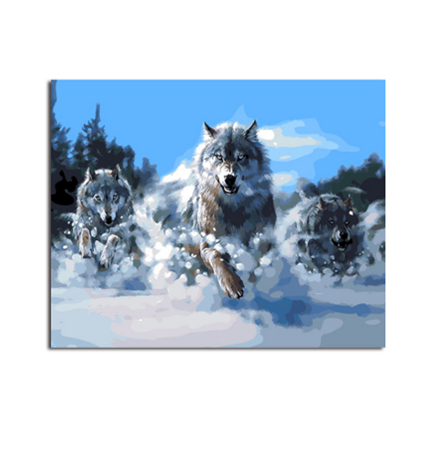 Slikanje po številkah - paket volkov 1