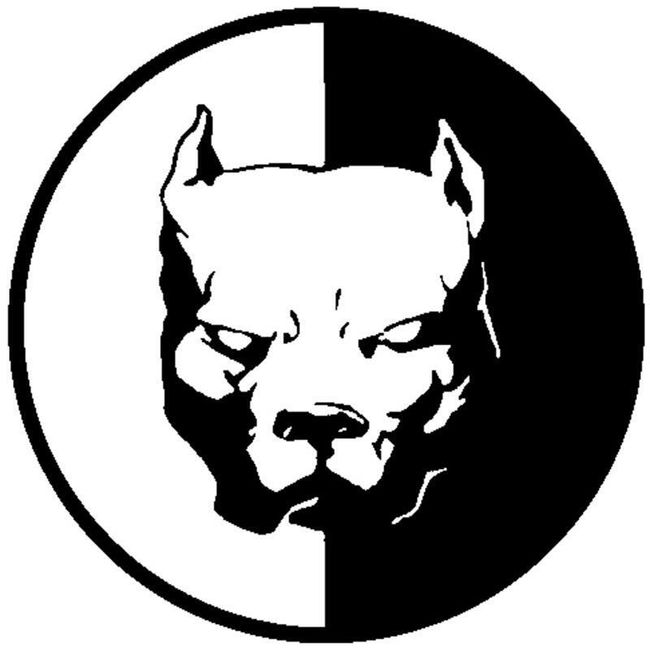 Stiker Za Avtomobil Amerikanski Pitbul Terier Shipgratis Bg