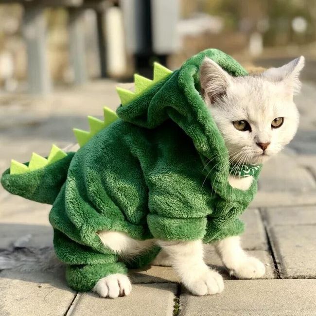 Kopek Yada Kedi Kiyafeti Mishka