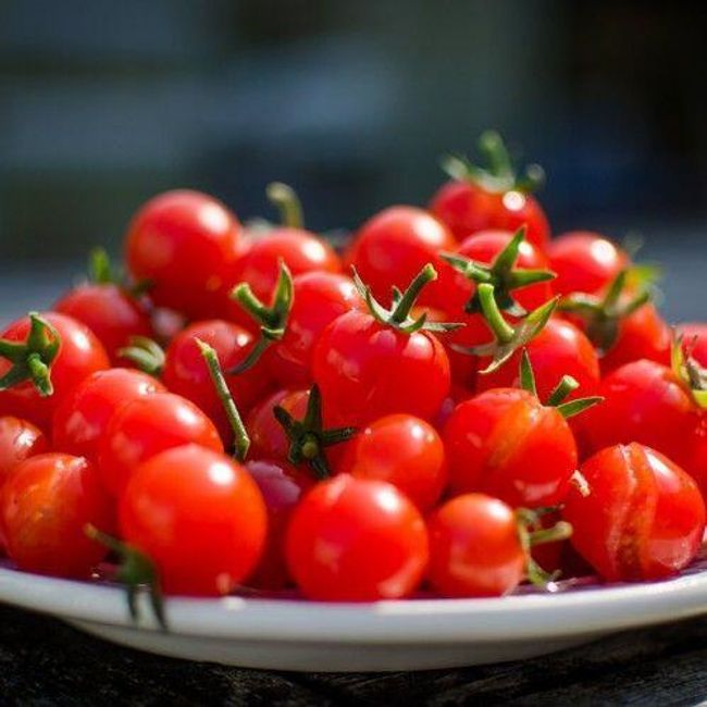 Храстови домати KARLA - семена 1