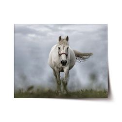 Plakát SABLIO - Bílý kůň 3 VY_1297
