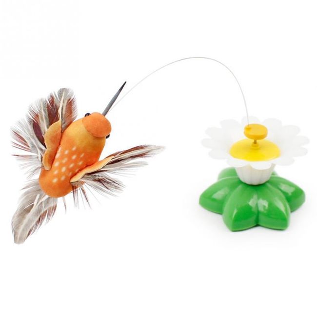 Jucărie Pentru Pisici Colibri Fluture Shipgratis Ro