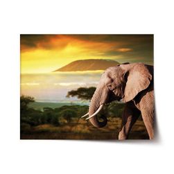 Plakát SABLIO - Slon z profilu VY_1705