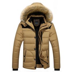 Pánská zimní bunda Oliver Béžová-L/XL
