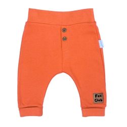 Pantaloni de trening din bumbac pentru bebeluși RW_teplaky-nicol-fox-club