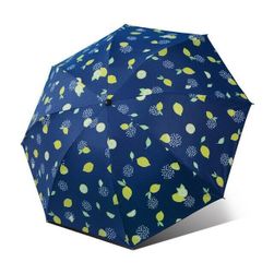 Deštník HB57