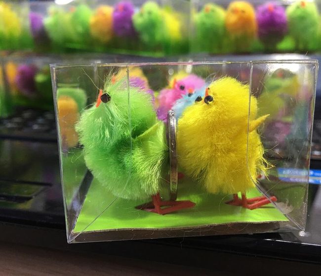 Pui Mici Coloraţi 8 Bucăţi Shipgratis Ro
