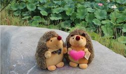 Polnjeni ježek - par
