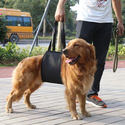 Rehabilitációs hám kutyák számára