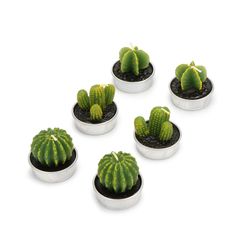 Sada 6 svíček ve tvaru kaktusů