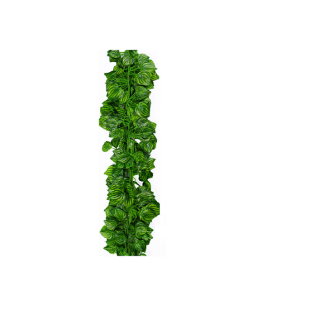 Vestacka Puzavica Shipgratis Rs